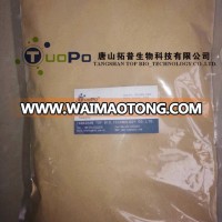 Non-GMO high protein shrimp feed additives TopBio brewers yeast powder